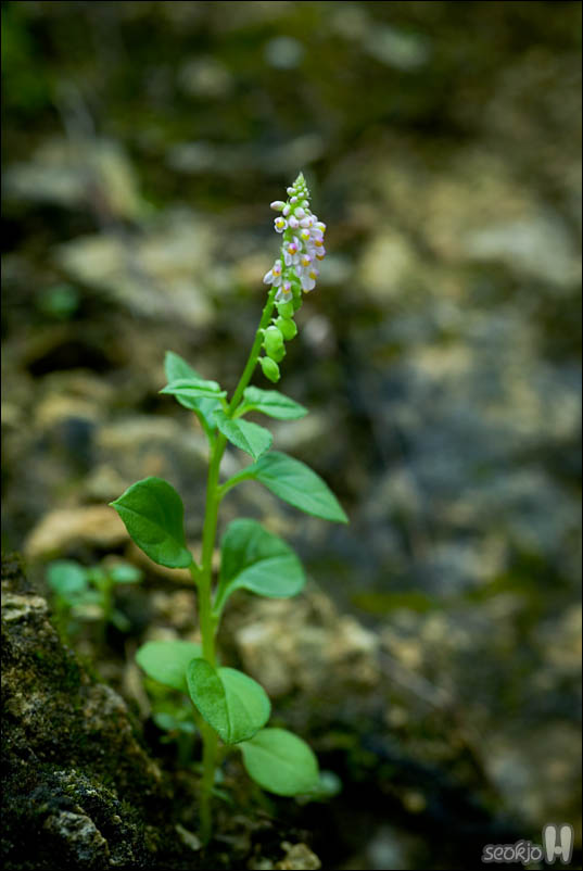 DSCF4692.jpg