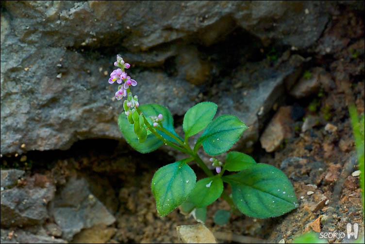 DSCF0421.jpg