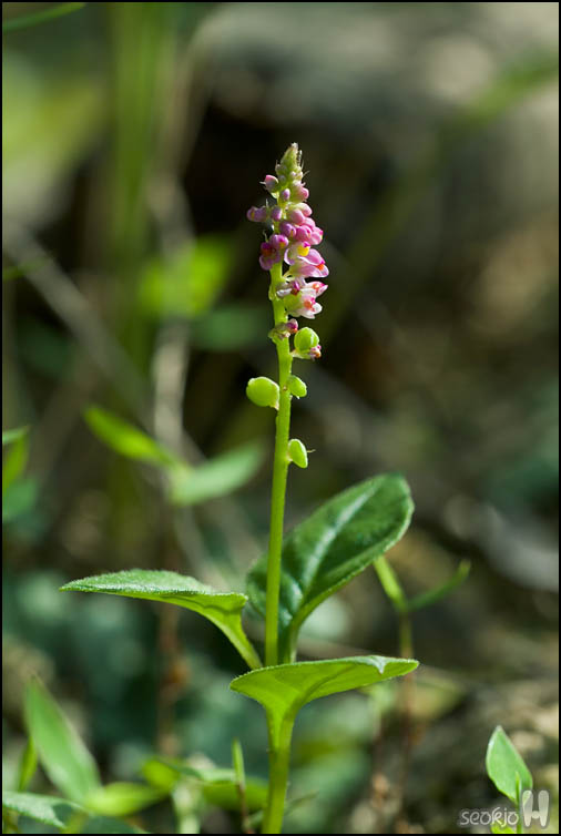 DSCF3253.jpg
