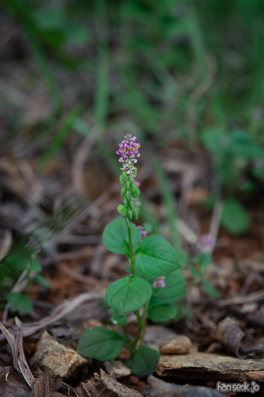 HSJ_0369.jpg