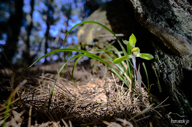 DSC_1663.jpg