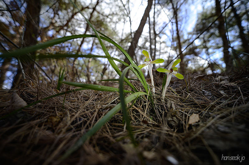 DSC_1675.jpg