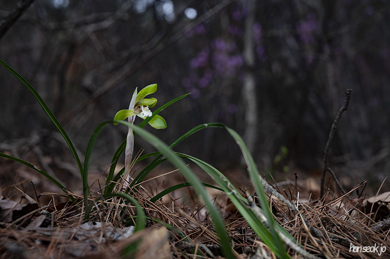 DSC_4837.jpg