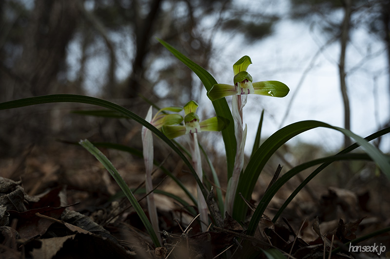 DSC_4848.jpg