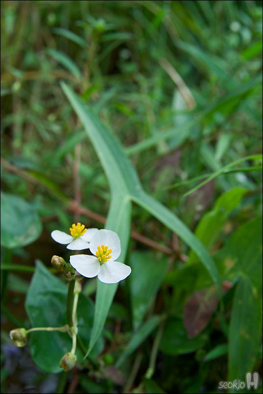 DSCF5568.jpg