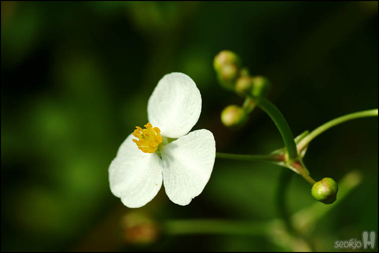 DSCF3496.jpg