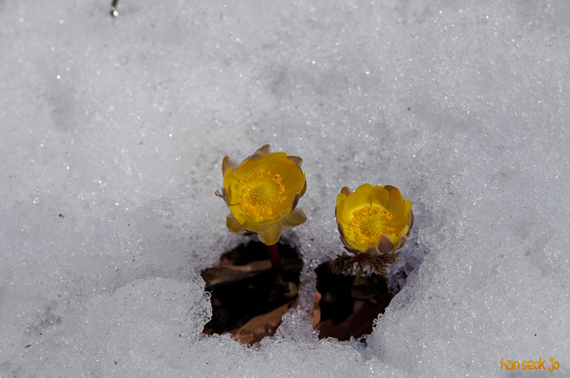 DSC_0563.jpg