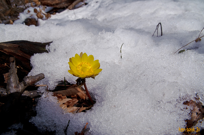 DSC_0565.jpg