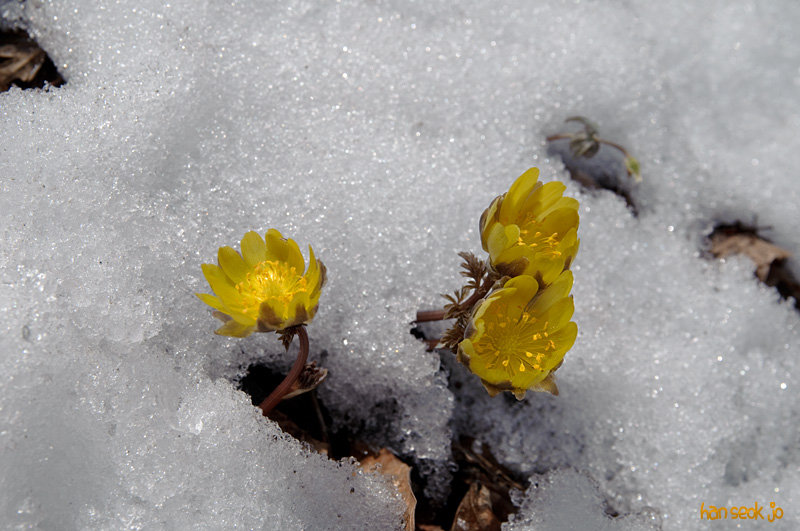 DSC_0567.jpg