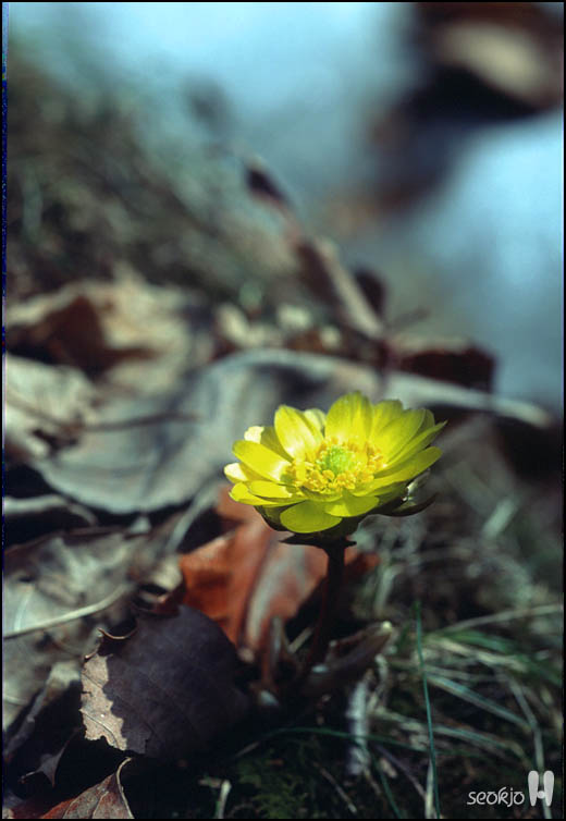 080319e.jpg