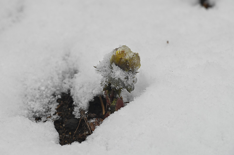 DSC_1546.jpg