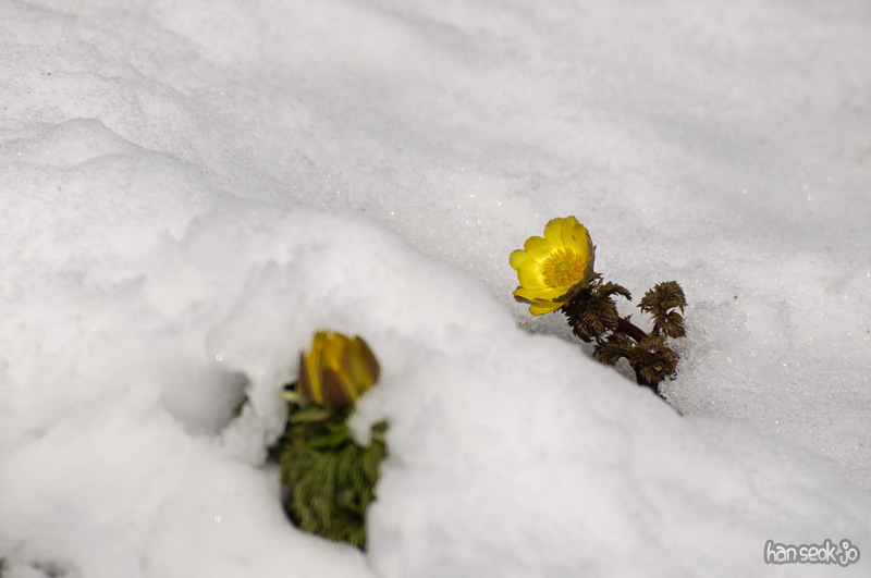 DSC_5192.jpg
