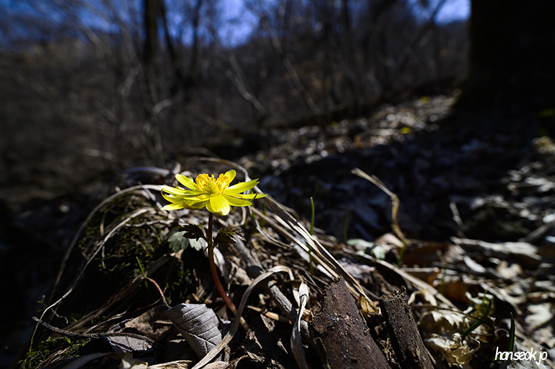 DSC_1774.jpg
