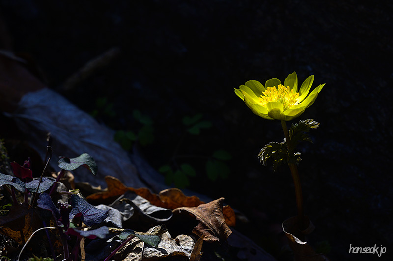 DSC_1766.jpg
