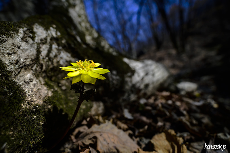 DSC_1793.jpg