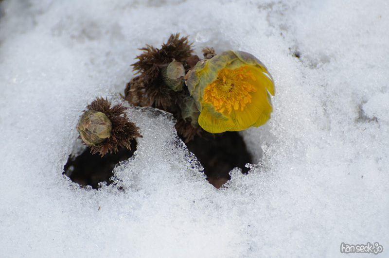 DSC_5169.jpg