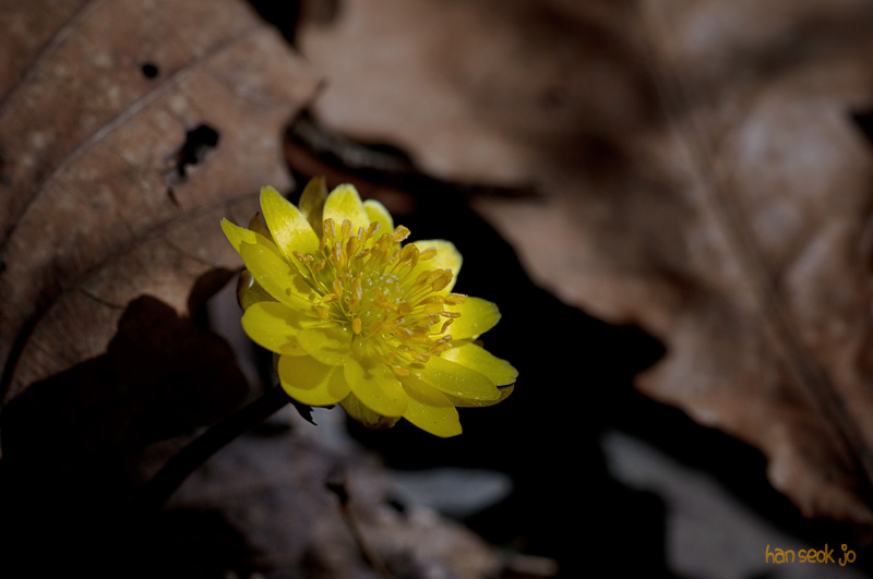 DSC_0123.jpg