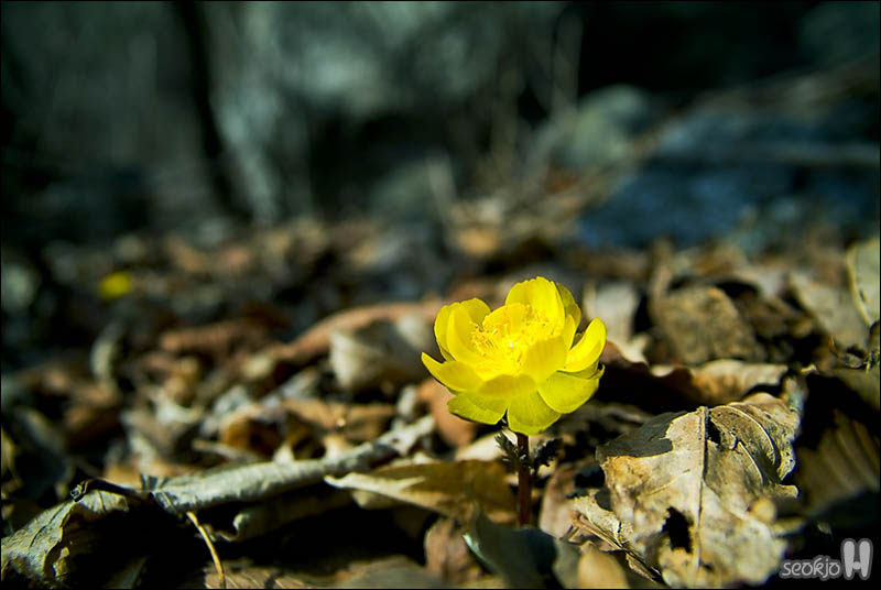 DSCF2567.jpg
