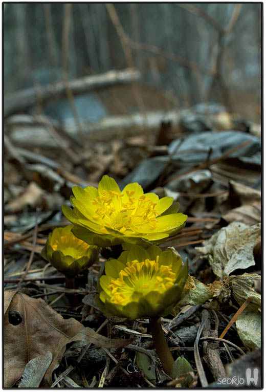 DSCF6167.jpg