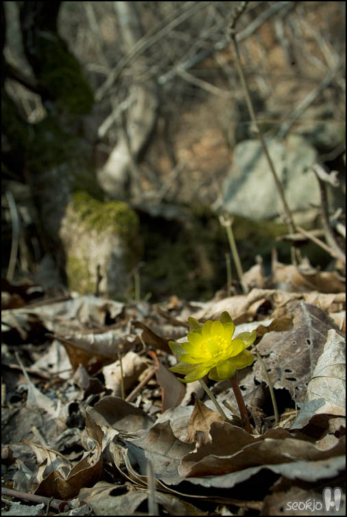 DSCF6872.jpg
