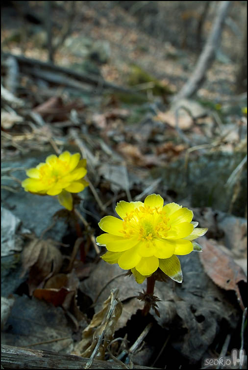 DSCF6885.jpg