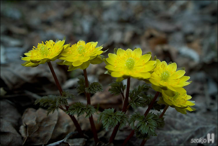 DSCF7123.jpg
