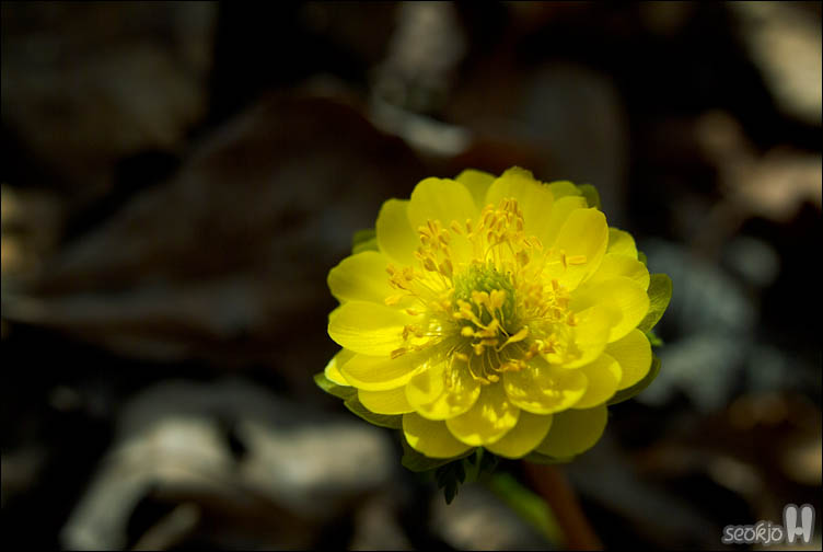 DSCF7578.jpg