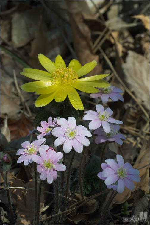 DSCF2148.jpg
