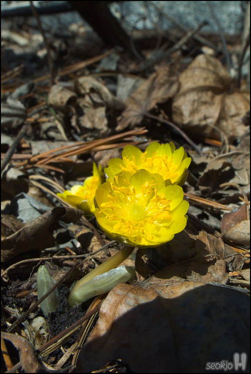 DSCF1898.jpg