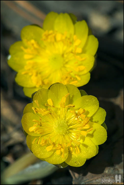 DSCF1903.jpg