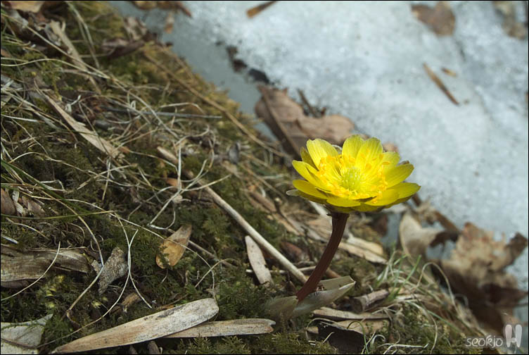 DSCF2051.jpg