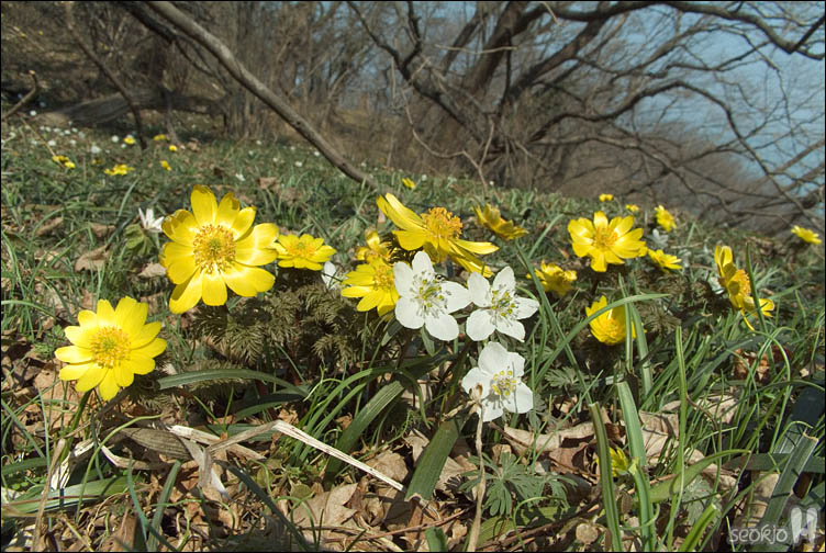 DSCF2116.jpg