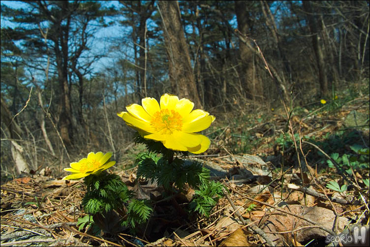 DSCF2305.jpg