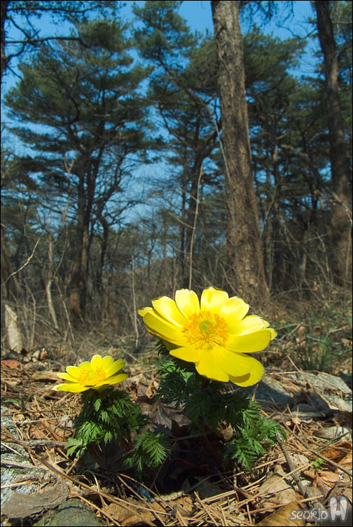 DSCF2306.jpg
