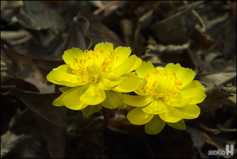 DSCF5575.jpg