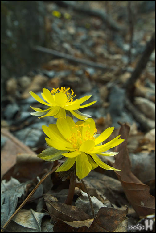 DSCF5577.jpg