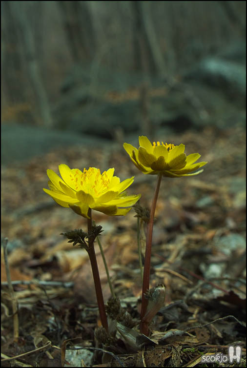 DSCF5591.jpg
