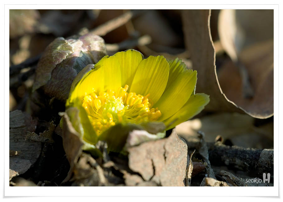 DSCF6771.jpg