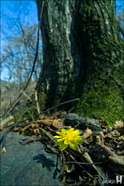 DSCF7144.jpg