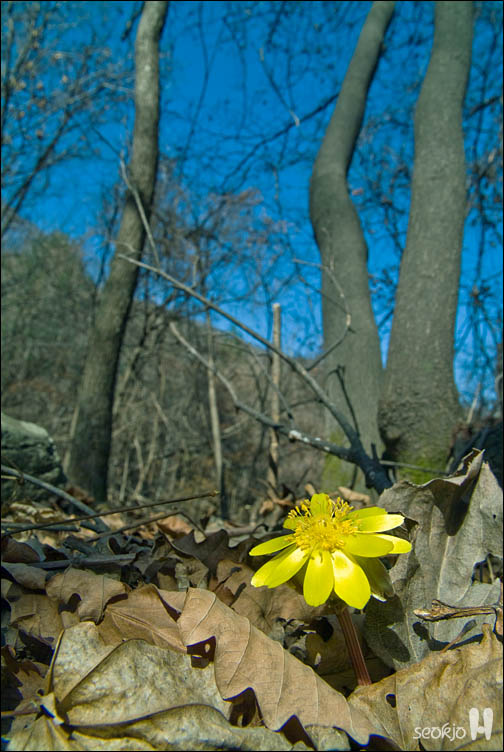 DSCF7145.jpg