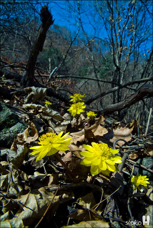 DSCF7146.jpg
