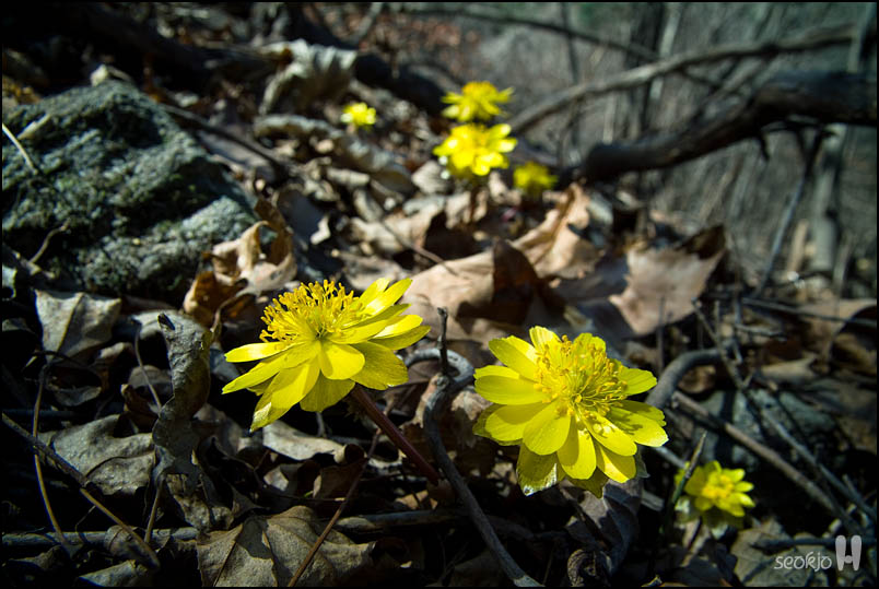 DSCF7150.jpg