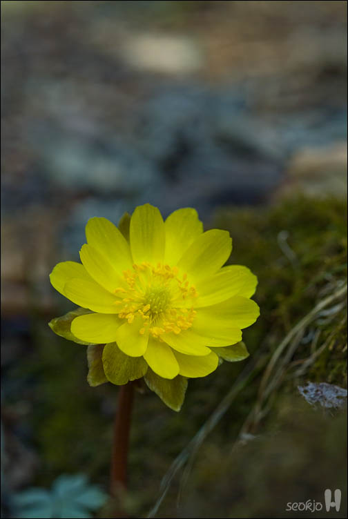 DSCF7409.jpg