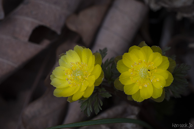 HSJ_5577.jpg
