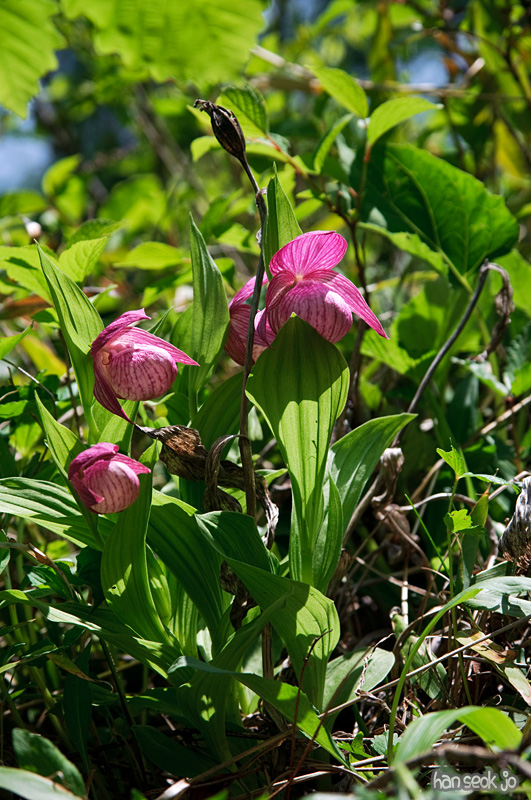 DSC_1850.jpg
