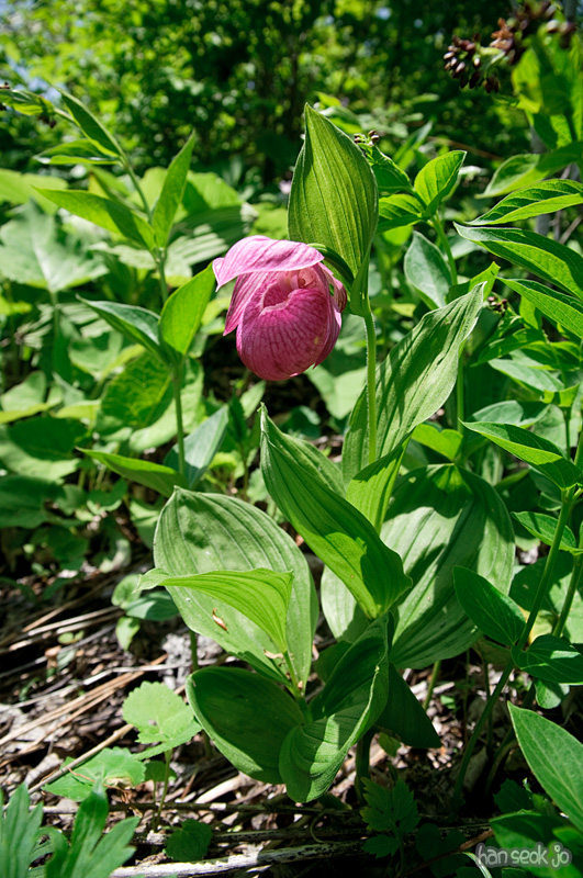 DSC_1860.jpg