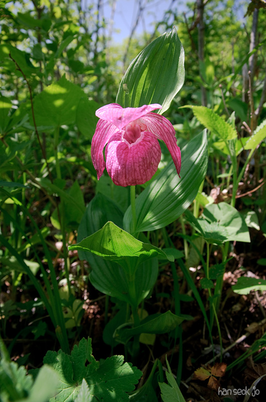 DSC_1862.jpg