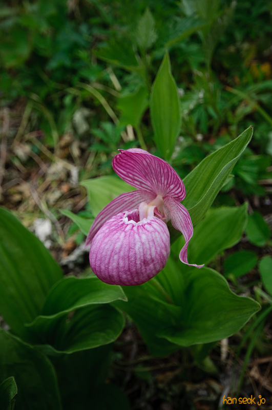DSC_6959.jpg