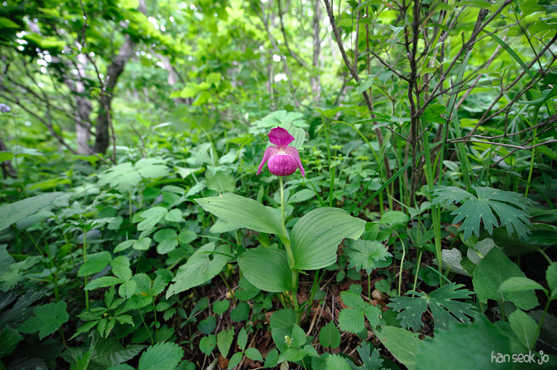 HSJ_3350.jpg