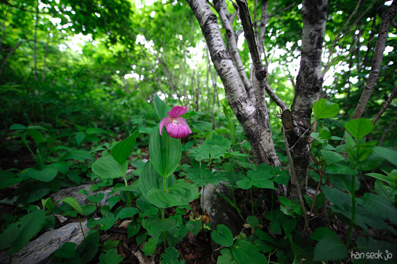 HSJ_3347.jpg